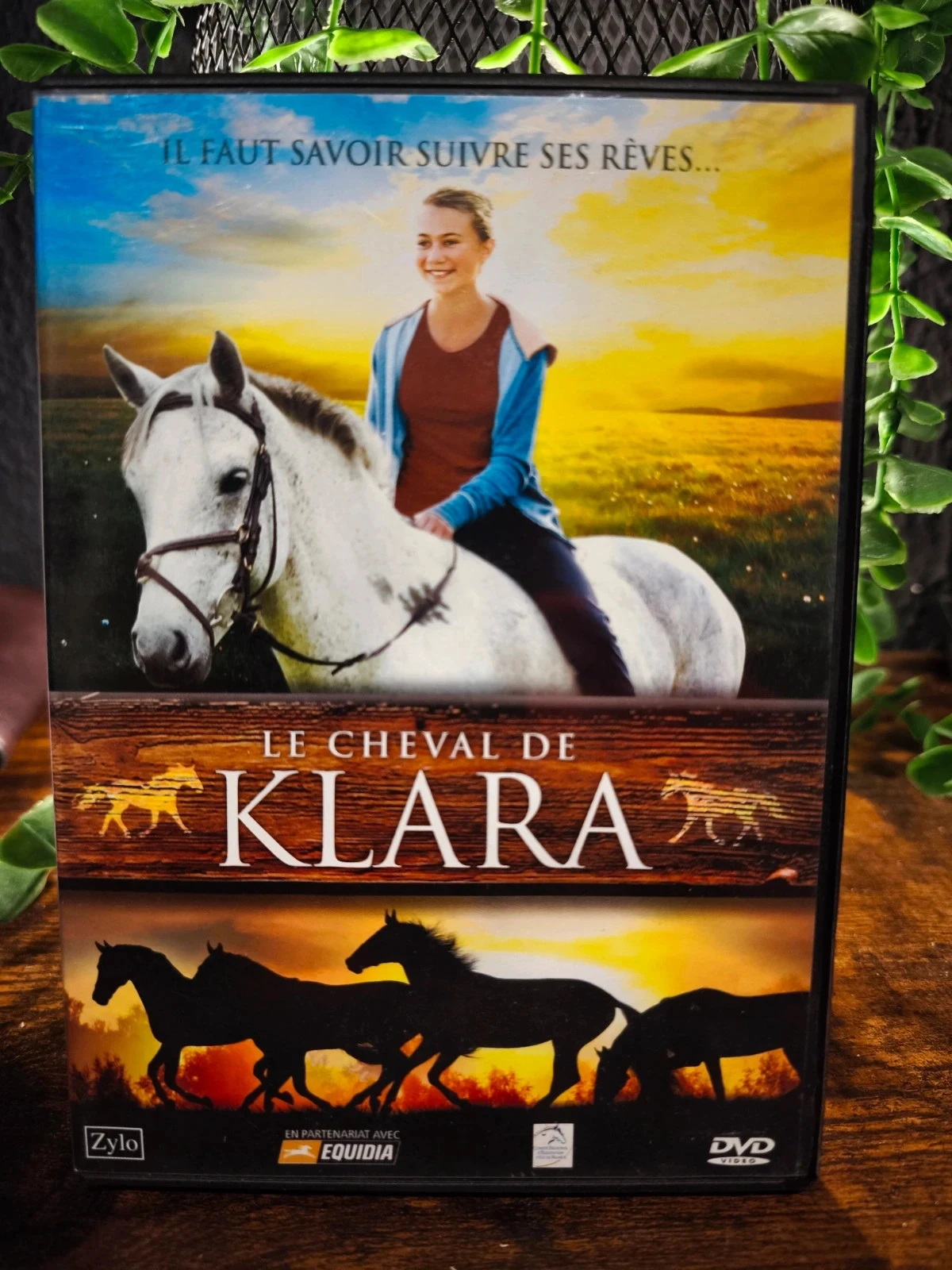 Le cheval de klara